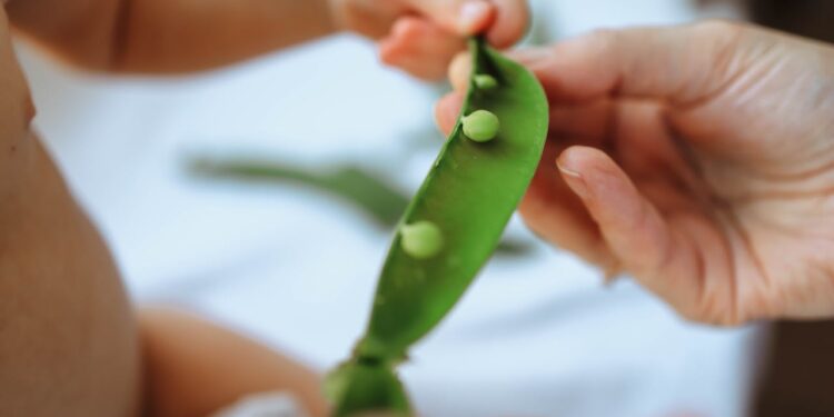 Baby LED Weaning - die ersten Versuche