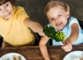 Gesunde Ernährung für Kleinkinder Tipps und Rezepte für die ganze Familie