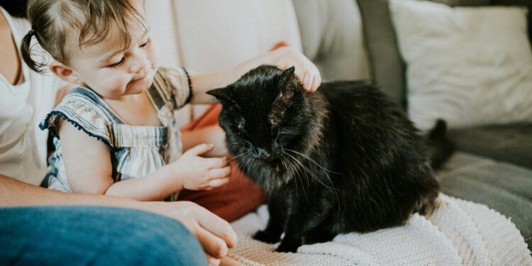 Haustiere für Kinder - ein Ratgeber für Eltern in Österreich